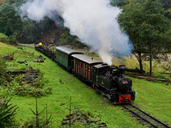 Sovata steam train