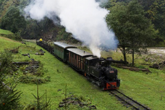Maramures steam train