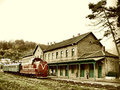 Anina Railway Station